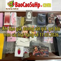 Âm đạo giả, dương vật giả, gel bôi trơn các loại hàng về 17.03.2026