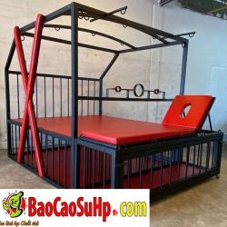 Giường BDSM là gì? Top các sản phẩm bán chạy nhất hiện nay!