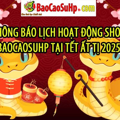 Thông báo lịch hoạt động shop baocaosuhp tại Tết Ất Tị 2025